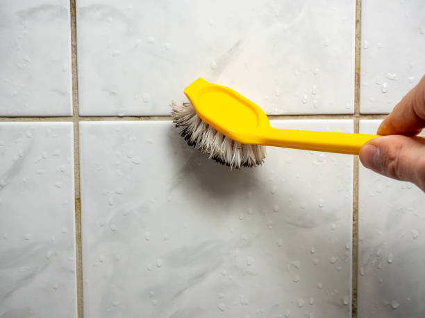 Best Mold Damage Repair  in Duson, LA